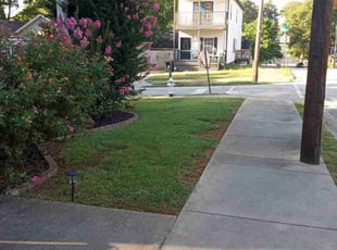 Dennis W.'s lawn service service result