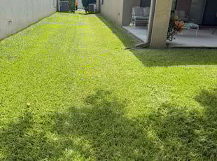 Manny M.'s lawn care service result