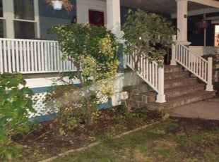 Huda M.'s Bush Trimming service result