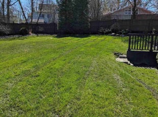 Deborah C.'s lawn care service result