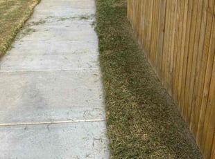 Steven D.'s lawn care service result