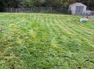 Keith L.'s grass maintenance service result