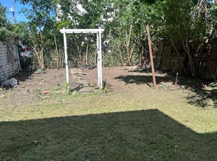 Deborah S.'s Bush Trimming service result