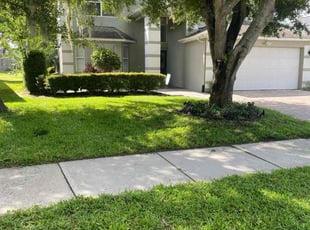 Anne A.'s lawn care service result