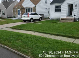 Virgil D.'s turf care service result