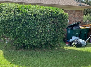 Sue L.'s Bush Trimming service result