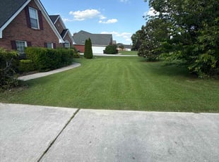 Sadie B.'s lawn care service result