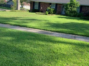 Andrea F.'s turf care service result