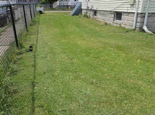 Krystyna H.'s turf care service result
