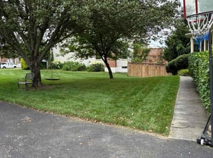 Diana E.'s turf maintenance service result