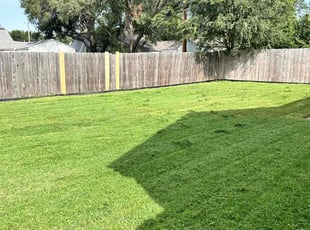 Meghan K.'s turf maintenance service result