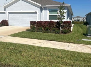 Brynn S.'s Bush Trimming service result