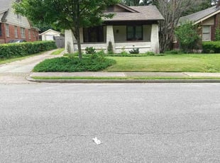 Sean T.'s turf care service result