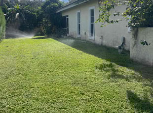 Mel C.'s lawn care services service result