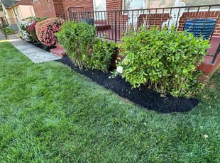 Joseph M.'s Flower Bed Weeding service result