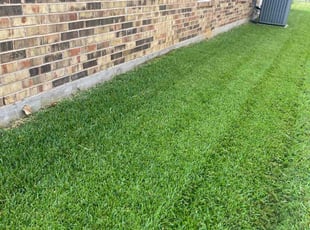 Lina A.'s turf maintenance service result