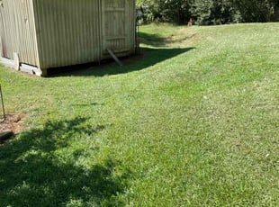 Joe W.'s lawn care services service result