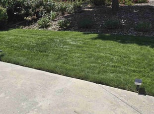 james t.'s lawn service service result