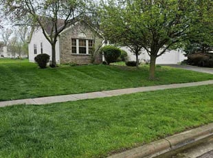 Olivia R.'s turf care service result
