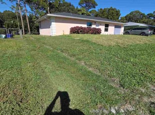 Vasila M.'s lawn care services service result