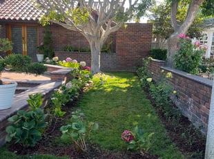 Lisa C.'s lawn care services service result