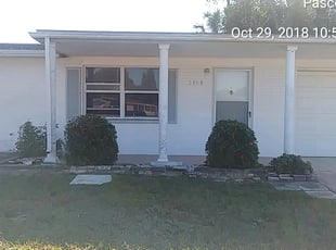 Denise V.'s Bush Trimming service result