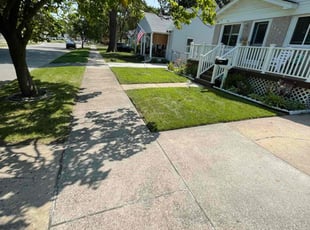 Branko B.'s lawn care services service result