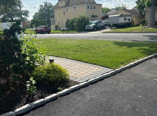 Sean B.'s turf care service result