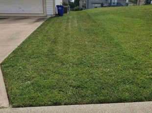 Larry W.'s turf care service result