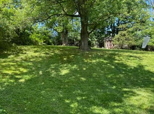 Chris S.'s lawn service service result