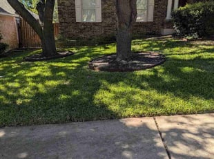 John C.'s grass cutting service result