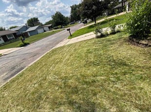 Exzoy H.'s lawn maintenance service result