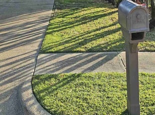 Sinoi H.'s lawn service service result