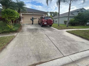 Mary E.'s Bush Trimming service result