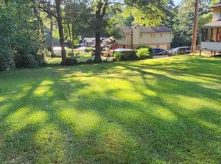 Mauri M.'s turf care service result