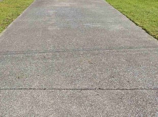 Carrie C.'s lawn maintenance service result