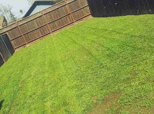 Kelly L.'s lawn care services service result