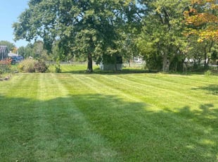 Beth T.'s yard work service result