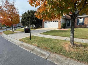 Mike A.'s lawn maintenance service result