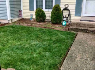 Sara A.'s Bush Trimming service result