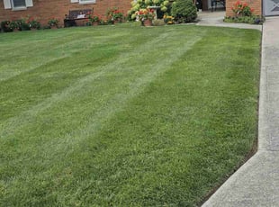 Colton S.'s lawn maintenance service result