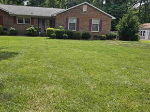 Donna P.'s turf maintenance service result