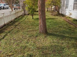 Kelly s.'s turf care service result