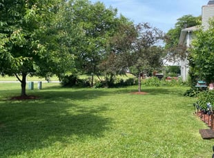 Mandy P.'s lawn care service result