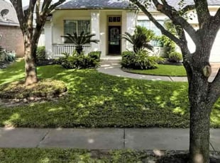 Lisette M.'s turf care service result