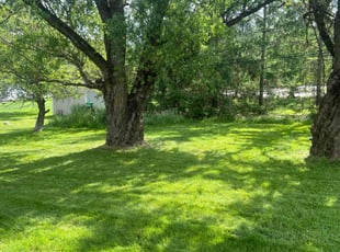 Albert R.'s turf care service result