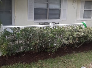 Jonathan O.'s Bush Trimming service result