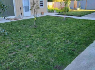Douglas N.'s lawn maintenance service result