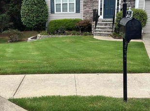 Tressie B.'s grass maintenance service result