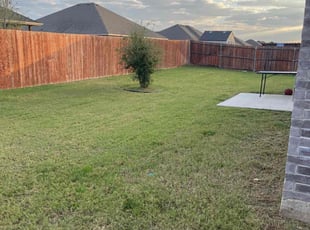 Chris G.'s turf care service result